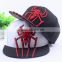 New Personalized Spider Embroidery Flat Brim Boys Hat