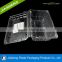 Blister small plastic clear fruit packaging box for blueberry