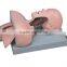 Advanced multi functional airway management model