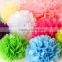HOT Sale Factory Outlets Party Decoration Hanging Tissue Paper Pom Poms