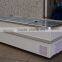 1100L Low energy glass door display meat chest freezer showcase can OEM