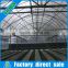 Multi-Span agricultural greenhouses,galvanized steel greenhouse type and single layer arch pipes greenhouse