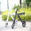 Electric Bicycle Bosch