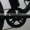 custom 500watt electric bike fat