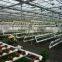substrates hydroponic greenhouse for tomato cucumbers peppers lettuce