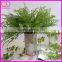 wholesale garden artificial outdoor plant