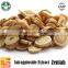 100% natural professional organic astragalus root extract