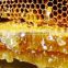organic bulk raw bee propolis