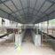 LTX006 steel structure cow shed