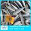 Frozen sardine fish for bait