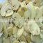 HACCP ISO hot sale canned mushroom in brine 314ml