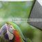 New design dye sub print backlit* fabric for transfer print or direct print