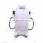Cavitation Ultracound RF Beauty 3 in 1 cryolipolysis freezing