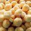 Dusita : Vacuum Freeze Dried Longan Fruit , Dried Fruit Snack , Healthy Snack From Thailand