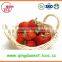 Wholesale Hot sale shandong bulk healthy fruit 25-35mm frozen IQF fresh strawberry