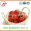 2015 all star 15-25 mm Best quality Whole Fresh Strawberry