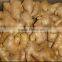Chinese Bulk Fresh Ginger
