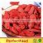Hot Sale Goji Fruit on sale