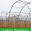 Cheap Plastic Film UV protected greenhouse