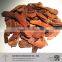Unpolished low cost pine bark manufacturer