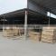 Acacia sawn lumber for furniture or pallet