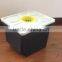 black hydroponic Dutch Buckets with lids
