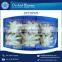 Trusted Brand Selling Fresh Octopus for Bulk Buyers