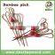 Bamboo craft stick,decorative pick