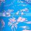 New Design Pattern Custom Print Island Scenic Swim Trunks With Lined Keen Length 100% Polyester Board Shorts