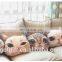 Custom Cartoon Cat Printed Pillow