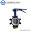 Stainless Steel PTFE Disc Lever Lug Butterfly Valve DN100 DN200 WLTD71F-10Q