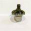 Cummins 6CT 8.3 Diesel Engine Thermostat 3913028