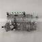 Weichai TBD226B-6 WP6D Diesel Engine BYC Fuel Injection Pump 10402376154