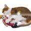 Durable canvas simulated Trump funny dog chew toy with bells mint for dog cats