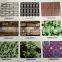 flower print ppgi pre painted color coated steel plate sheet coil