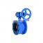 Tyco China Manufacturer Worm Gear Flange Butterfly Valve Price