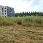wireless robot mower, China slope mower price, grass trimmer for sale