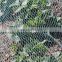 Agriculture Garden Protection Net Mesh High Strength HDPE Warp Knitted Green Bird Netting