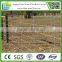 chain facory supply (ISO9001:2008)hot sales stainless steel specification shanghai field fence glassland fence net