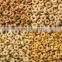 Corn flake & Breakfast Cereals machinery/processing line /making machine