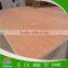 Manufacture Provide 1220*2440 Plywood