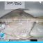 300-500g Frozen whole silver pomfret fish