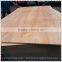 eucalyptus plywood MLH core plywood plywood