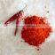 ground sweet paprika powder