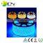 High Brightness Big Chip Size Led strip 5630