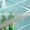 luxury beverage showcase upright display cooler