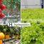 Hydroponics, Aquaponics and Aeroponics Equipment for Agriculture and Farming