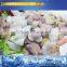 Sell like hot cakes very large frozen frozen ark 900 l built-in trolley easy operation