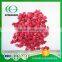 Golden Supplier Bulk Freeze Dried Raspberry