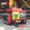 Bison China Taizhou DC 48V Generator Gasoline Engine Remote Control